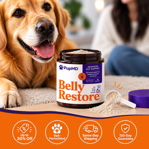 Belly Restore