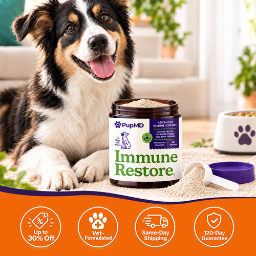 Immune Restore