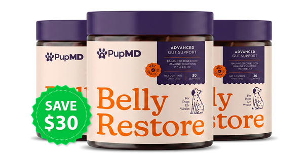 PupMD Belly Restore — 3 pack