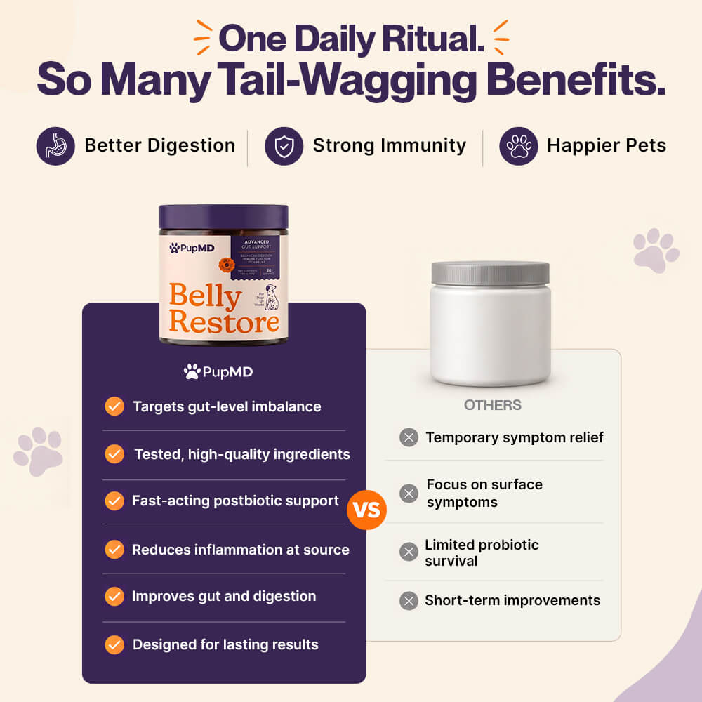 Belly Restore