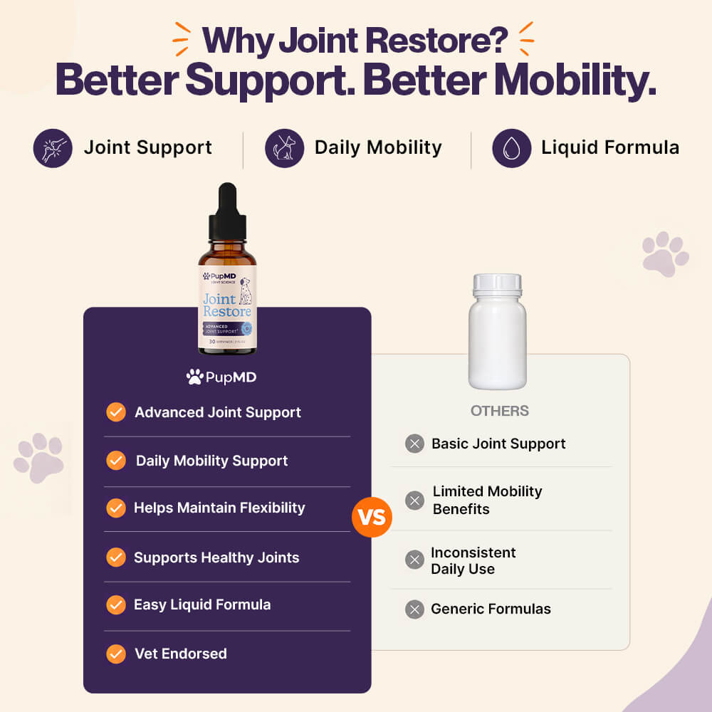 Do This To Soothe Your Dog's Painful Joints Fast