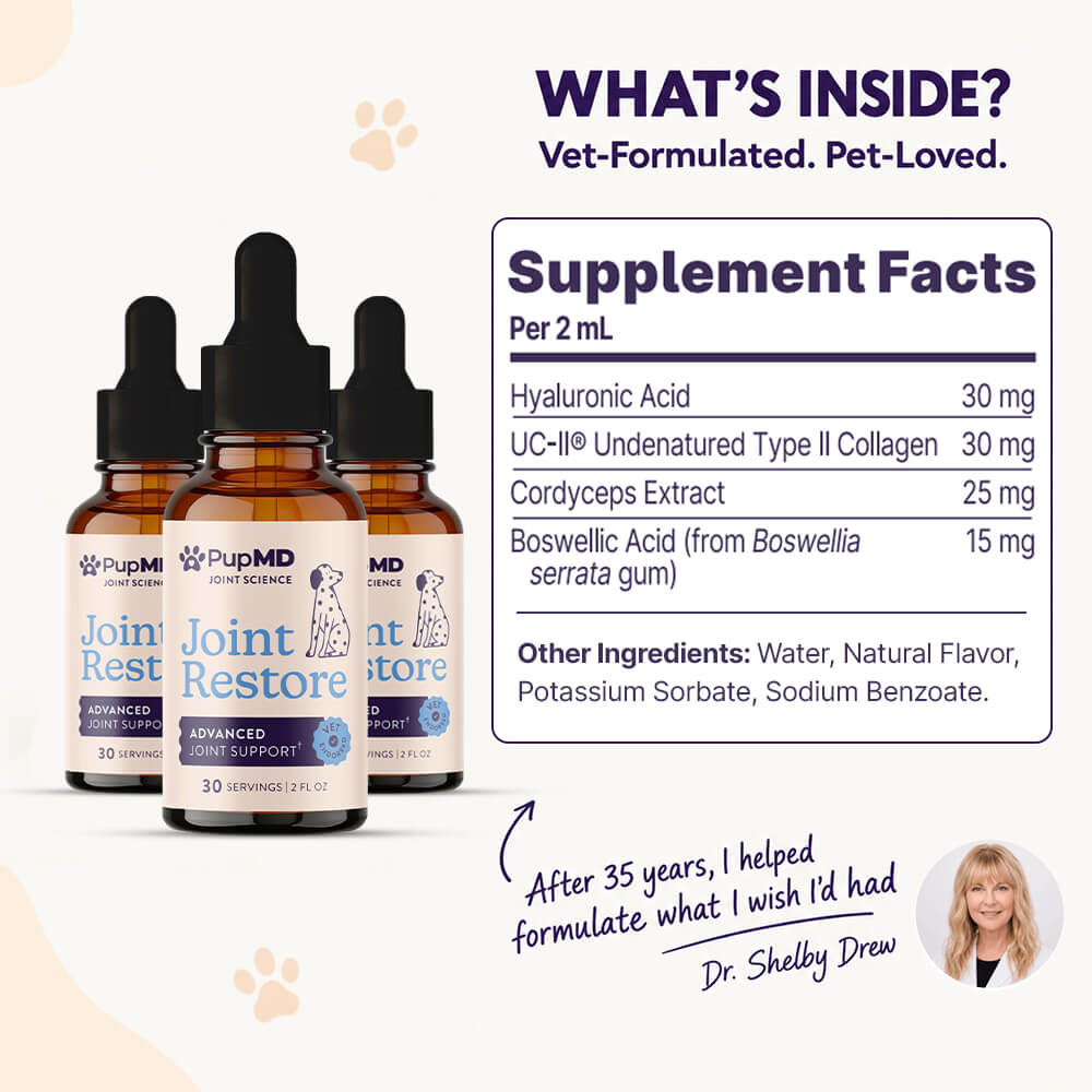 Do This To Soothe Your Dog's Painful Joints Fast