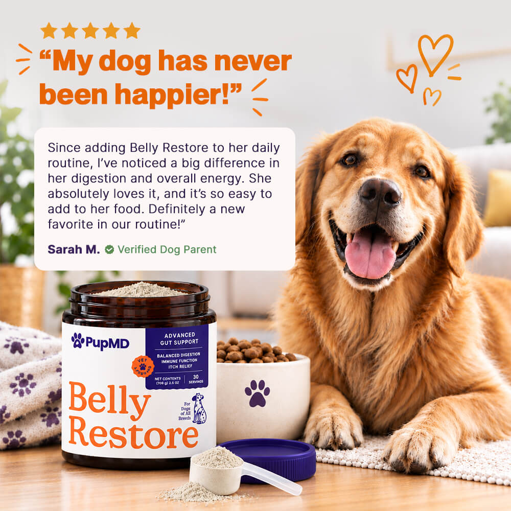 Belly Restore