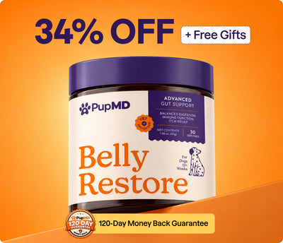 Belly Restore