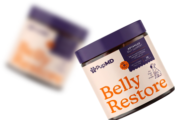 Order Your Belly Restore Today