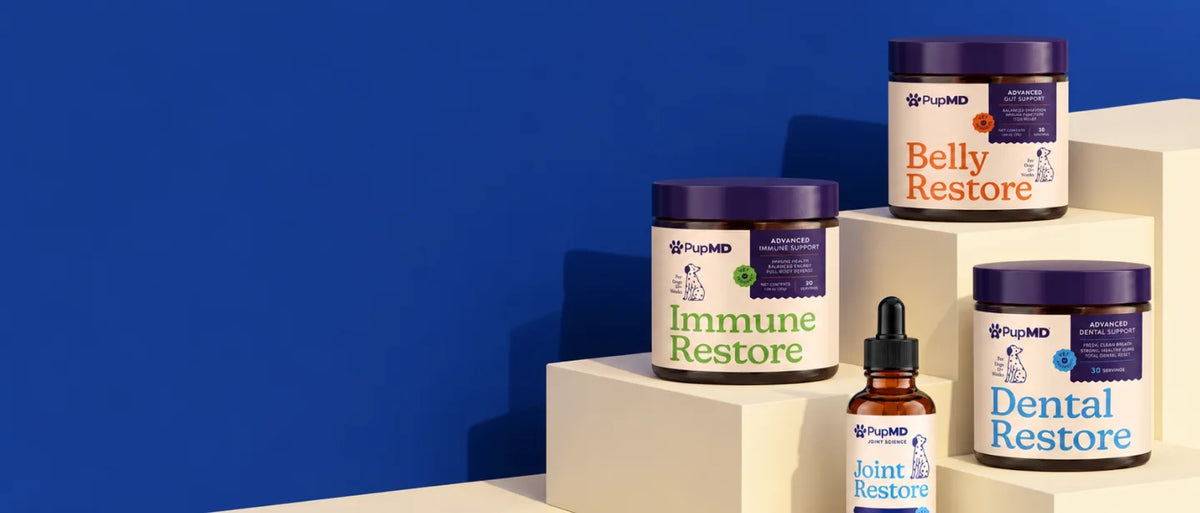 PupMD Belly Restore, Immune Restore, Dental Restore and Joint Restore on cream stairs against a blue wall