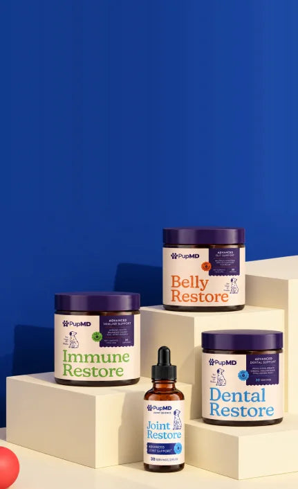 PupMD Belly Restore, Immune Restore, Dental Restore and Joint Restore on cream stairs against a blue wall