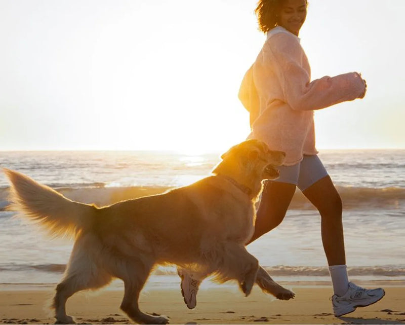 Runner jogging on the beach with a dog at sunrise