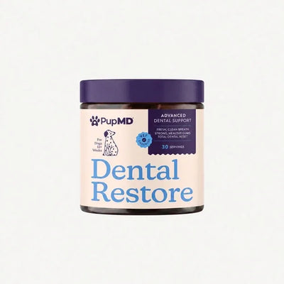 Dental Restore