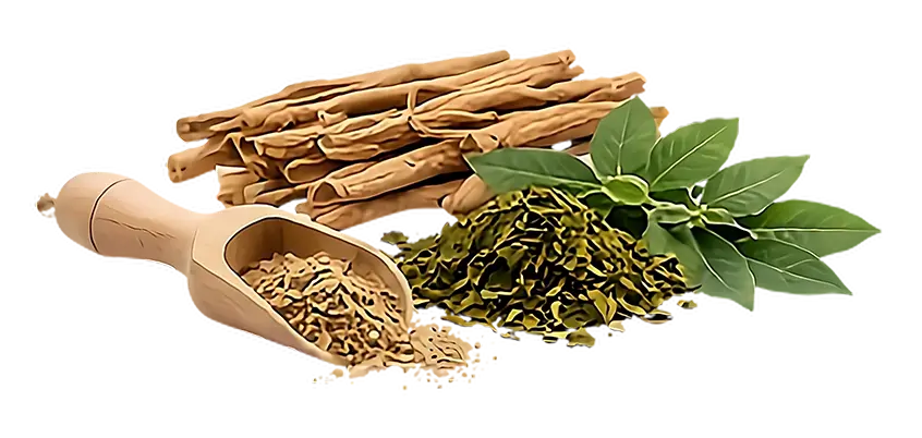 Advanced Prebiotic Blend
