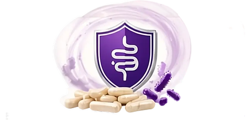 Canine-Tuned Probiotic Formulation