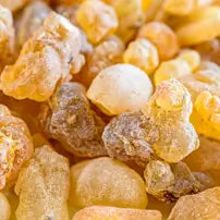 Boswellia Serrata
