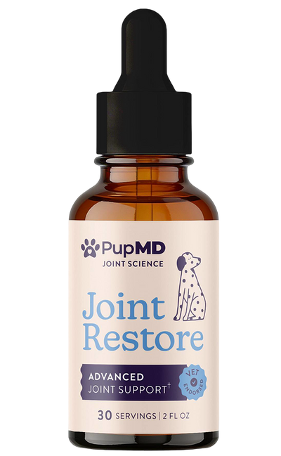 PupMD Joint Restore — 1 pack
