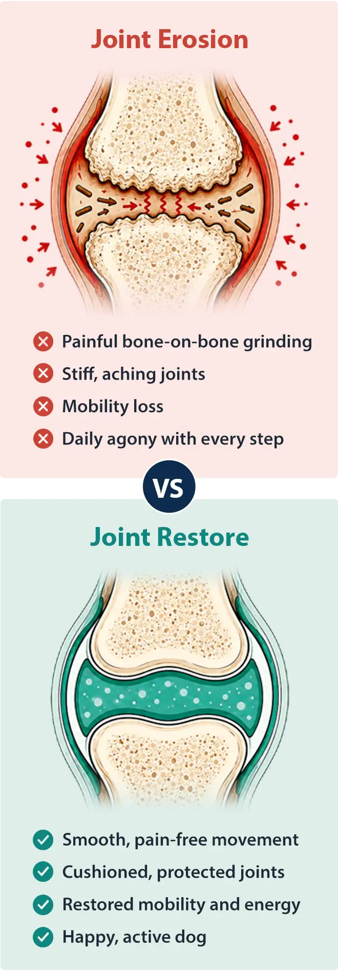 Healthy joint cushion vs drained joint cushion comparison