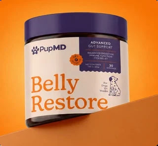 Belly Restore jar on an orange background
