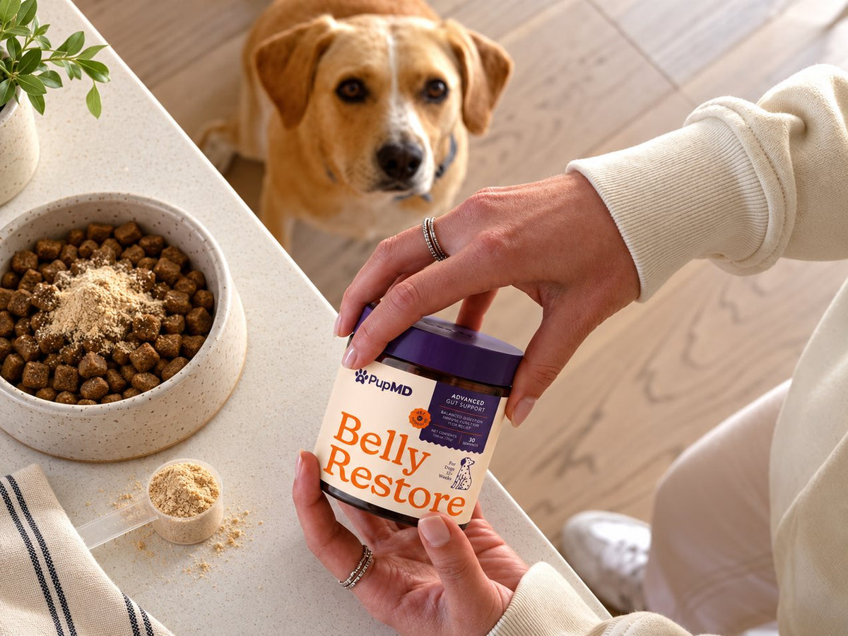 Hands opening a jar of Belly Restore next to a dog bowl while a dog waits