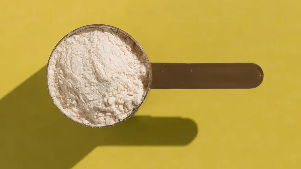 Scoop of L-Glutamine powder