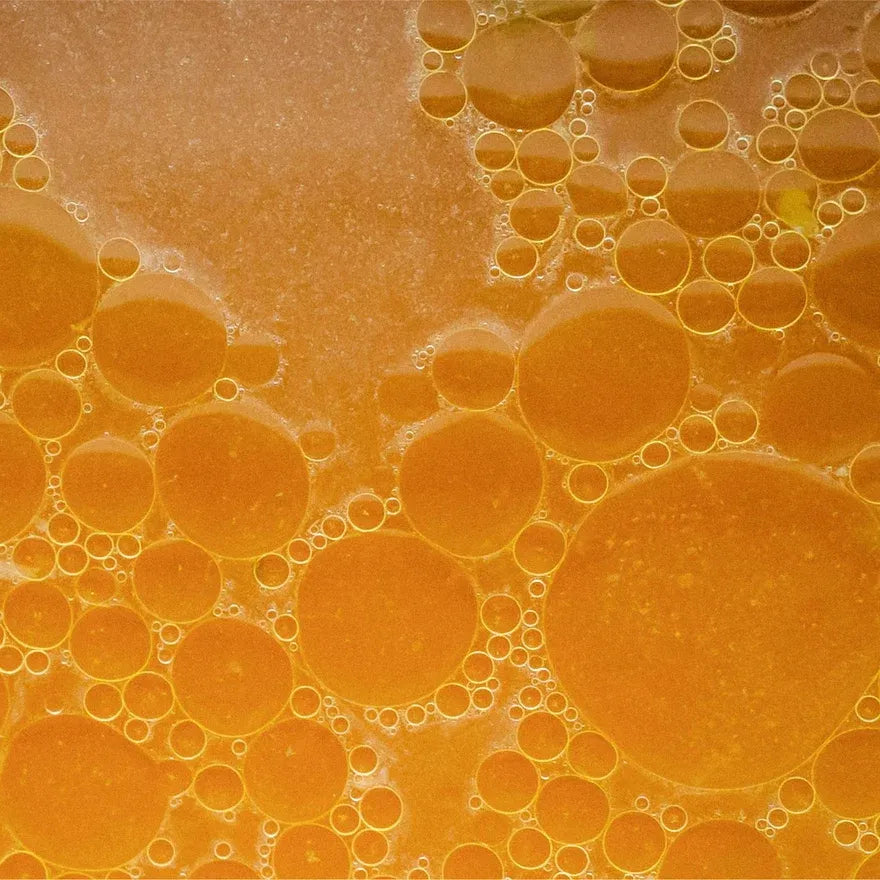 Close-up of golden fermented liquid with bubbles