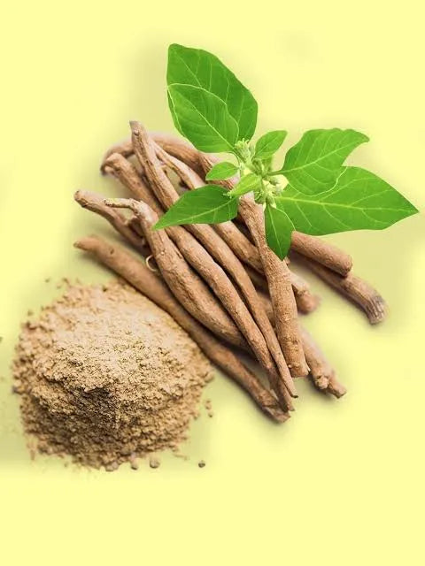 Prebiotic root and powder with fresh green leaves