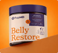 Belly Restore Daily Topper