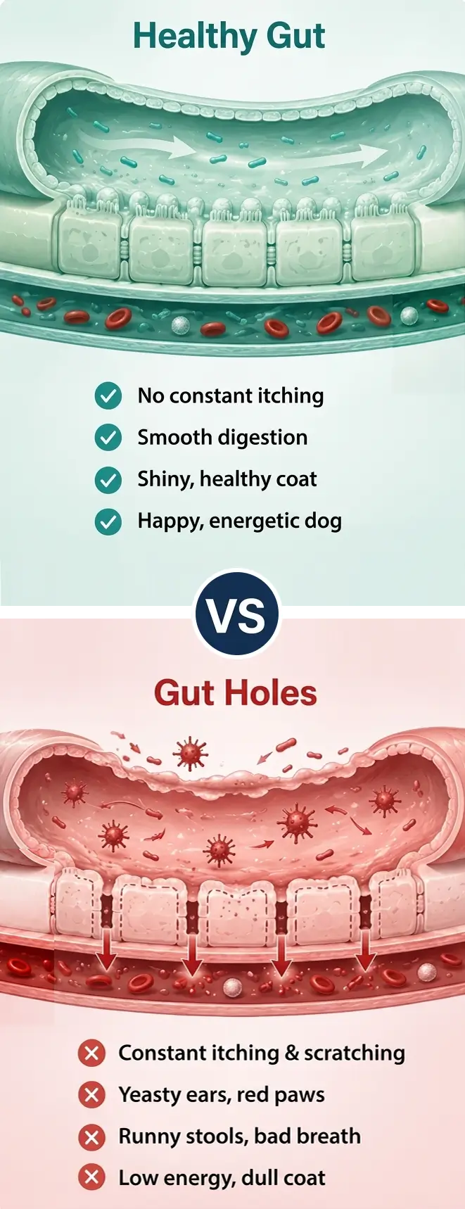 The REAL Reason Your Dog Can't Stop  Itching And  The  5-Second Remedy