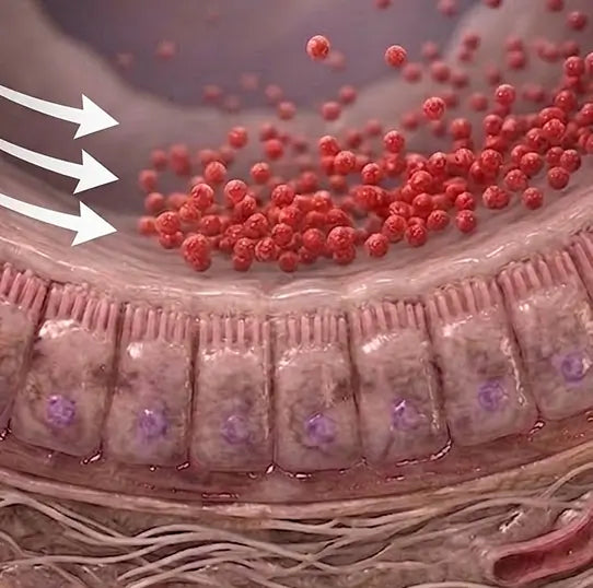 The Cleaning Crew: Clear The Itch Toxins