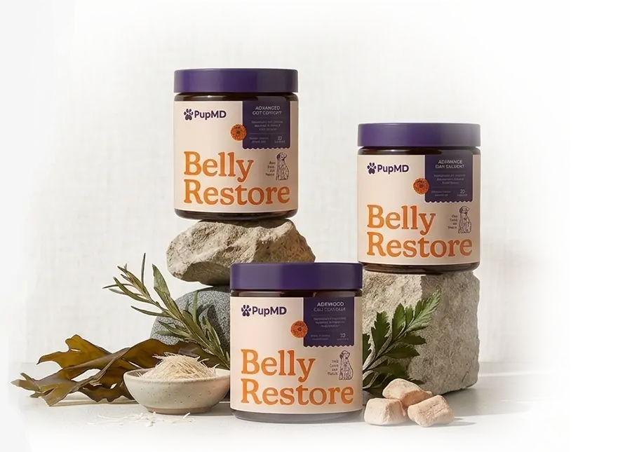Introducing Belly Restore: